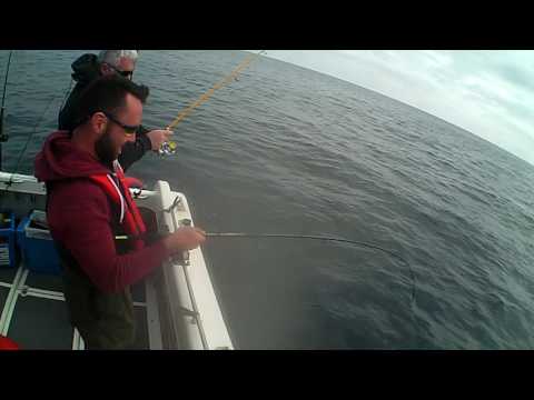 download lagu mp3 mp4 Sea Fishing Cork, download lagu Sea Fishing Cork gratis, unduh video klip Sea Fishing Cork