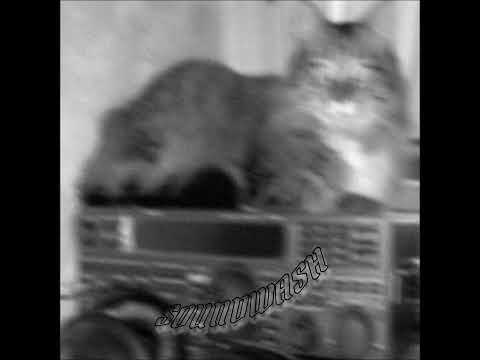 Soundwash - "Self-Titled" (HD)