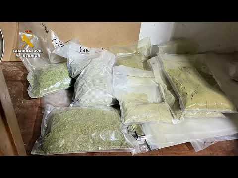 2022-08-12_op_timian_cannabicos_sevilla