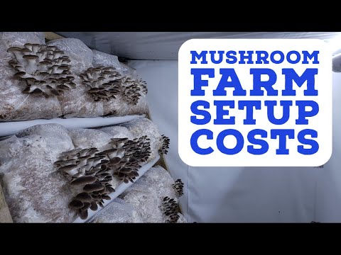 , title : 'What Does It Really Cost to Setup a Mushroom Farm?'