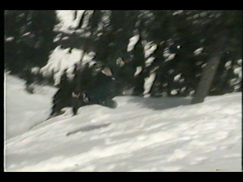 GNARBAGE Crash Section