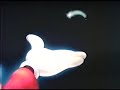 Opening To Jiminy Cricket S Christmas 1990 VHS