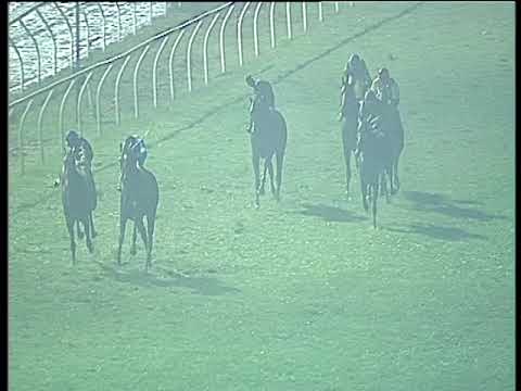 Galoppo 06/02/2018 - 5ª corsa