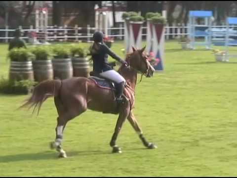 Diana Ortega montando Cappela el 13 de Mayo del 2017