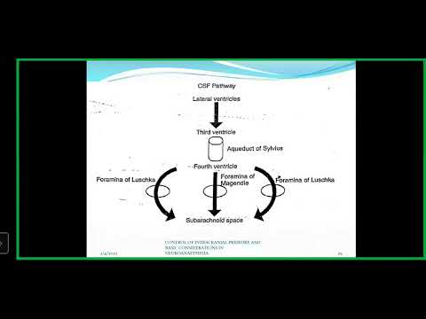 Control of intracranial pressure and basic considerations in Neuroanesthesia