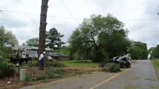 preview picture of video 'Large Pine Tree Felling in Road, Moss Point, MS'