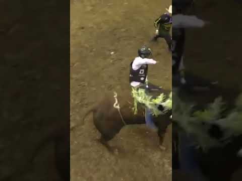 Jose Vitor Leme Somehow Saves Himself From a Major Wreck