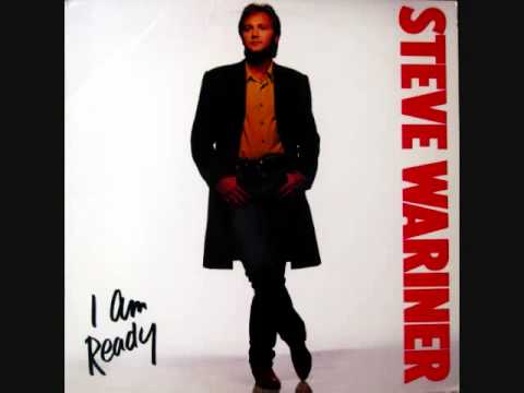 Steve Wariner / Crash Course In The Blues