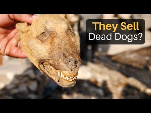 They Sell Dead Dogs? (Fetish Market in Lome, Togo)