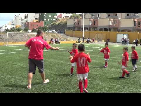 MINIPREBENJAMINES FIRGAS VALLESECO