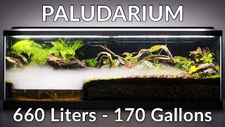 I Built a Giant Ecosystem Paludarium - 660 Liters, 170 Gallons 