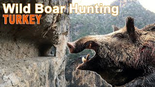 Wild Board Hunting (chasse sanglier Attila) in Turkey With Ovini Expéditions 2017