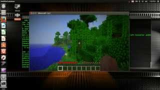 Ubuntu 13.04: How to install and Run Minecraft in Ubuntu Easily