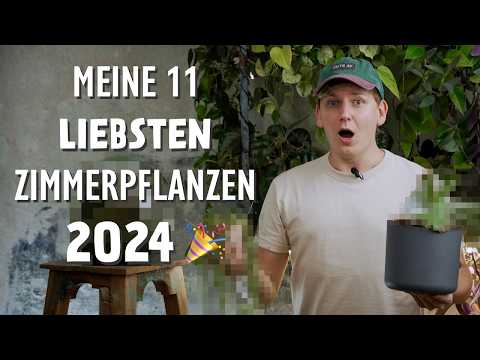 My TOP 11 favorite houseplants 2024 🎉 THESE plants have captured my heart 💚