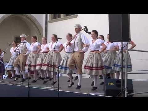 Pořad: ROZMLOUVÁNÍ, č.6/12 - Sejkorky ze Slatiňan - Ševci / FF Pardubice 2023