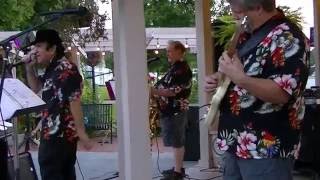 Chuck Cape & The Magic band performs at Summer Nights in Iva,SC  JG sets in..