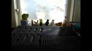 Can&#39;t Stop Now - Rambling Nicholas Heron