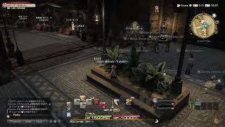 【FF14】トロフィーのために零式練習