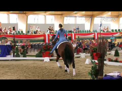 FEI European Vaulting Championships 2013 - Female Senior Compulsory 1st Place - Rikke Laumann