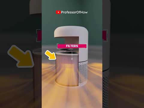 How does an Air Purifier Works? (3D) by Professor Of How