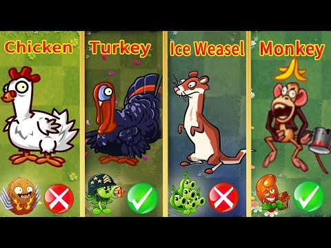 PvZ 2 Challenge - Zombie Chicken & Ice Weasel & Monkey & Turkey Wrangler Zombie - Who Will Win ？