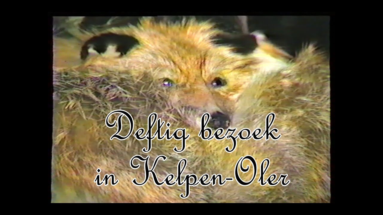 Deftig Berzoek in Kelpen-Oler 1985
