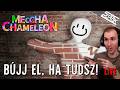 Bújj El, Ha Tudsz! Ki a Legjobb Kaméleon? - Meccha Chameleon #1 - Stark LIVE