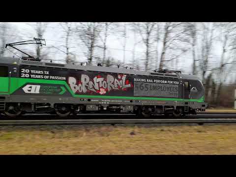 BORN TO RAIL TX Logistics Vectron 193 264 mit Containertragwagen