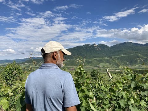 New Life of Old Winemakers | Documentary