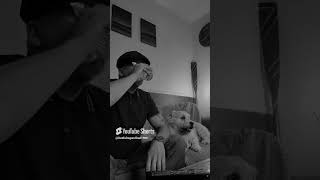 Deefa and the old man  #billyjoel #music #dogs