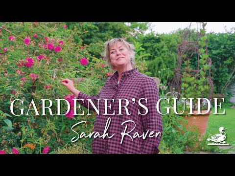 Tour Sarah Raven's Perch Hill Garden | Garden Tour