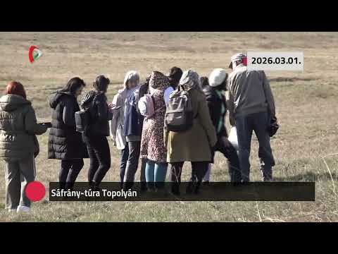 Kommentár nélkül – 2026.03.02.