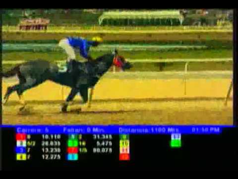 Resumen Domingo, 22 de Marzo de 2015 - La Rinconada