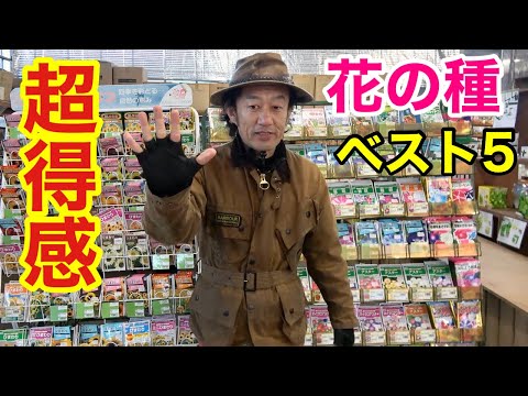 写真で庭の鳥の名前を認識する方法、ゴシキヒワを識別する方法