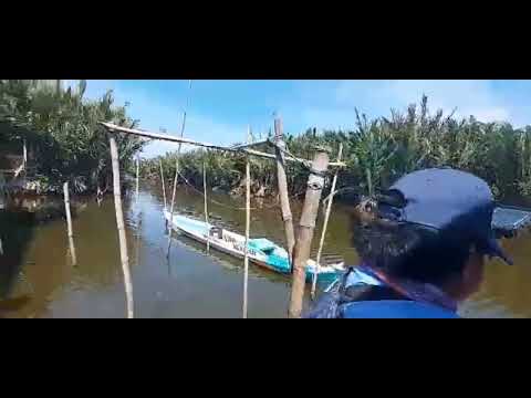 calero malolos tarpon hunt 1landed