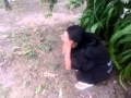 Cagando No Mato