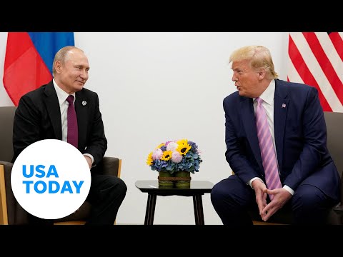 Trump Russia, Ukraine ceasefire talks to begin 'immediately'