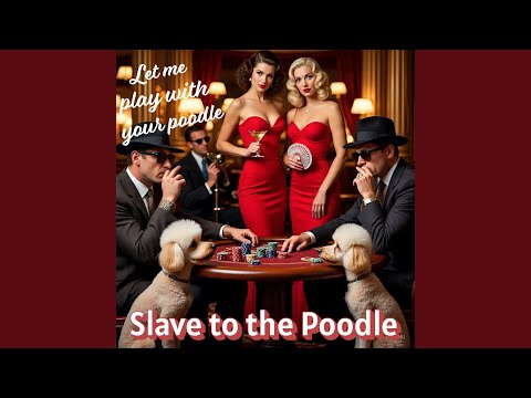 Let me play with your poodle