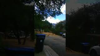 A Doe &amp; her Fawns visited today...🦌🙏 #shortsfeed #deer @AlanJacksonMusic