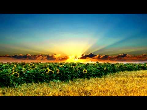 Аркадій Войтюк - Корабель (radio_edit)