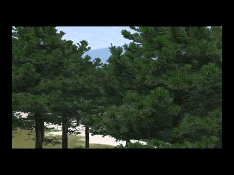 Mx Simulator || Whippinum Whippinum || Tomii