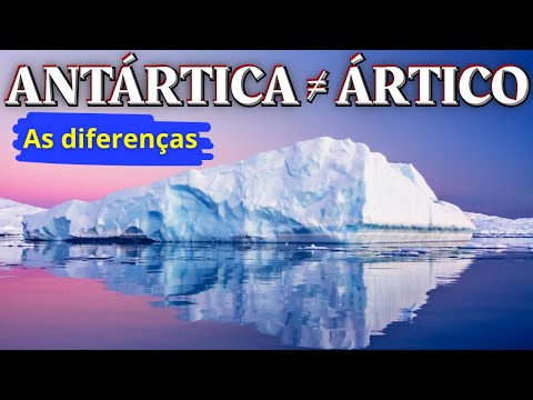 ANTÁRTICA vs ÁRTICO: As diferenças que você NÃO SABIA