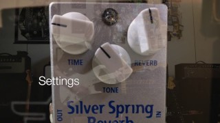 Video thumbnail for Mad Professor Silver Spring Reverb into a blackface Fender Showman amp by Mad Professor Pedals