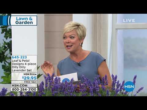 HSN | Lawn & Garden featuring Leaf & Petal Designs 03.15.2019 - 11 AM