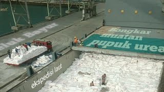 Download lagu Bongkar Muat Pupuk Di Pelabuhan Teluk Bayur. mp3 Download lagu Bongkar Muat Pupuk Di Pelabuhan Teluk Bayur. mp3