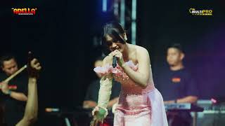 Download lagu BAGAI DISAMBAR PETIR - SHERLY KDI OM ADELLA LIVE HALAL BIHALAL PEMUDA SARKEM PEKALONGAN mp3