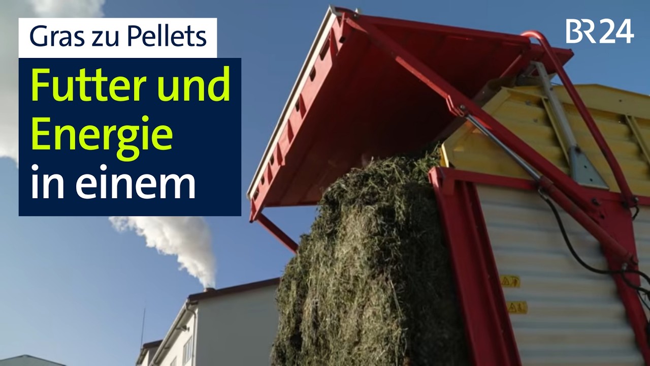 Pellet-Alternative unterstützt Futterkreislauf und sorgt für Energie | Abendschau | BR24