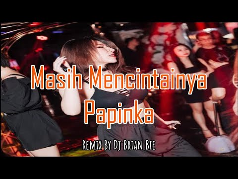 Masih Mencintainya - Papinka (Electro Manyao) By Dj Brian Bie #dj抖音版2024 #remixmanyao