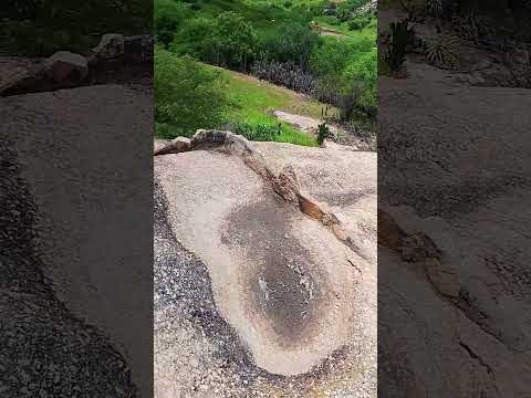 Sítio calabouço, lindo.#sitio #rio #natureza #viral #viralvideo #shorts #shortvideo #agua #nordeste