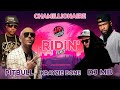 Chamillionaire x Krayzie Bone Feat. Pitbull  - Ridin' (DJ MB Remix 2023)